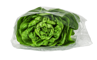 Slazakken vrijstaand